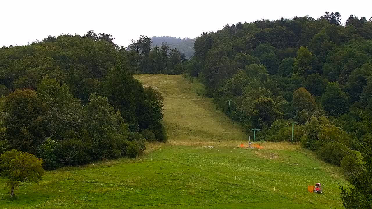 Webcam Lokve – The beauty of the Trnovo forest