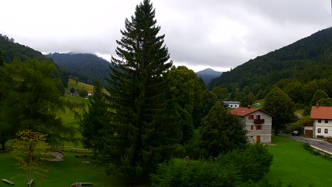 Webcam Lokve – La beauté de la forêt de Trnovo