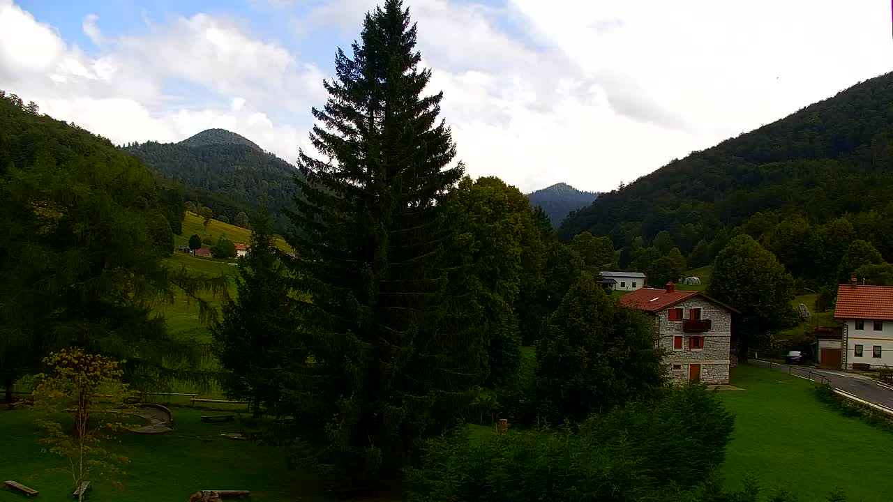 Webcam Loqua / Lokve – La bellezza della selva di Tarnova