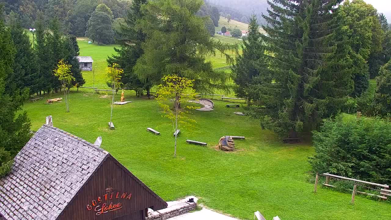 Webcam Lokve – The beauty of the Trnovo forest