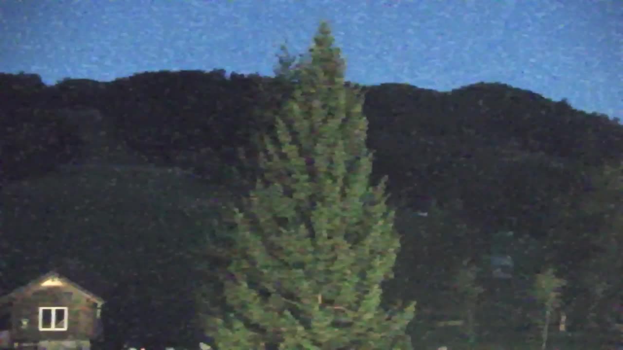 Webcam Lokve – The beauty of the Trnovo forest