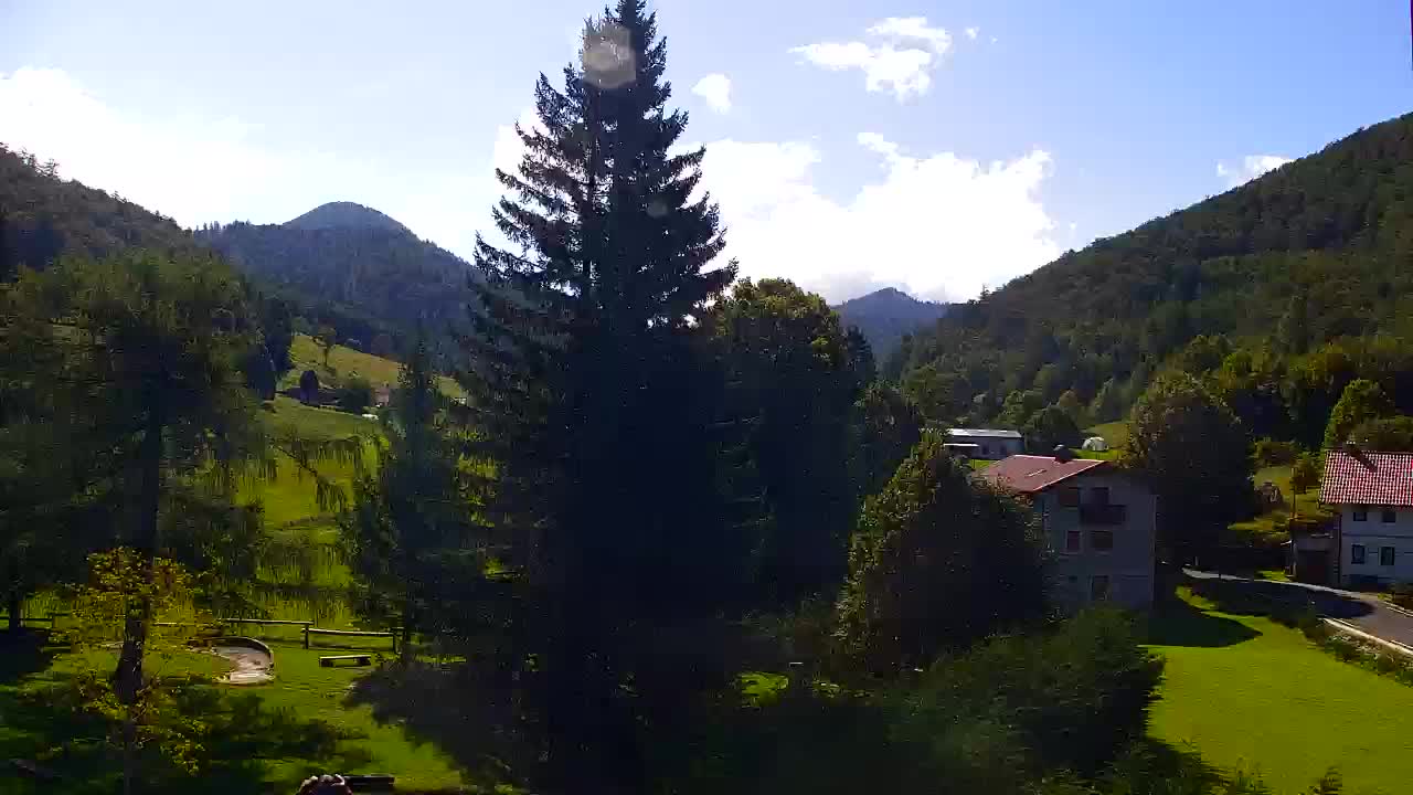 Webcam Lokve – La beauté de la forêt de Trnovo