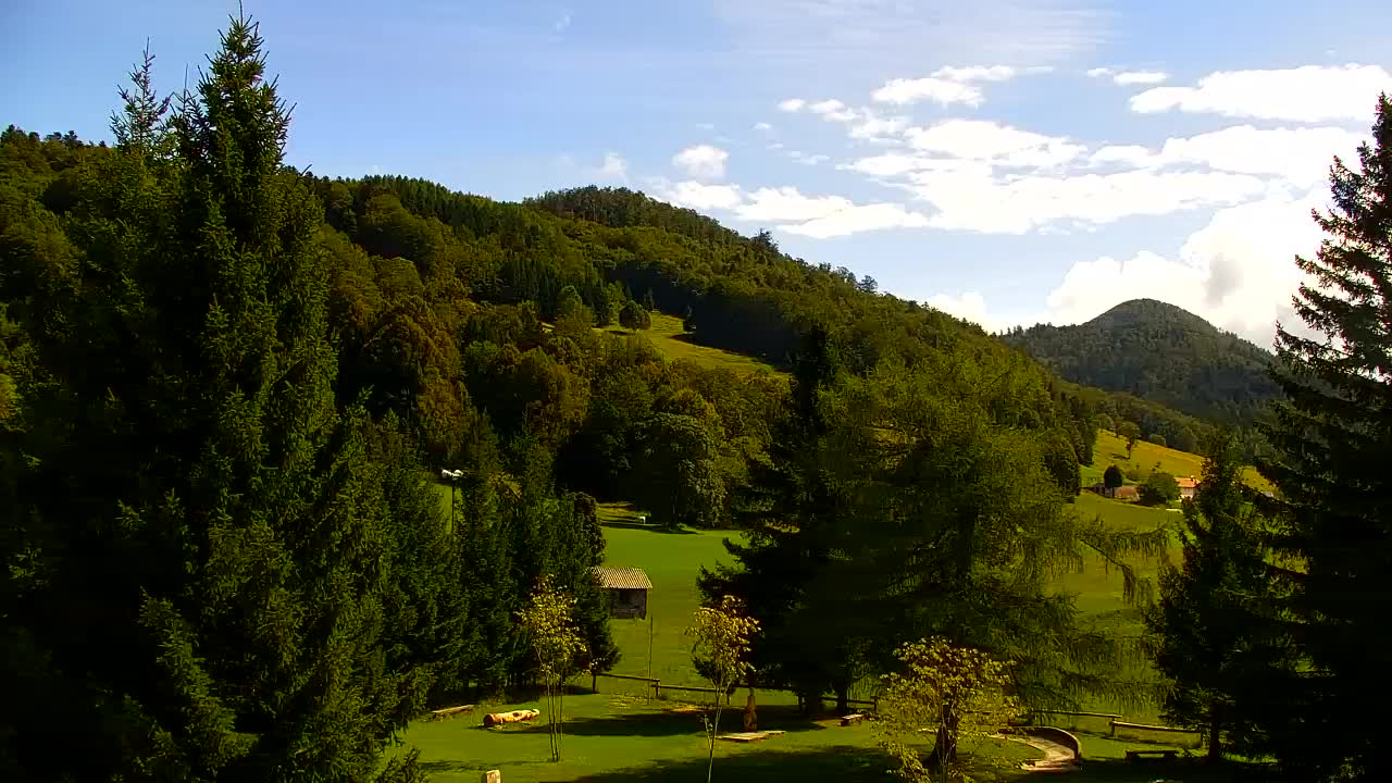 Webcam Lokve – La beauté de la forêt de Trnovo