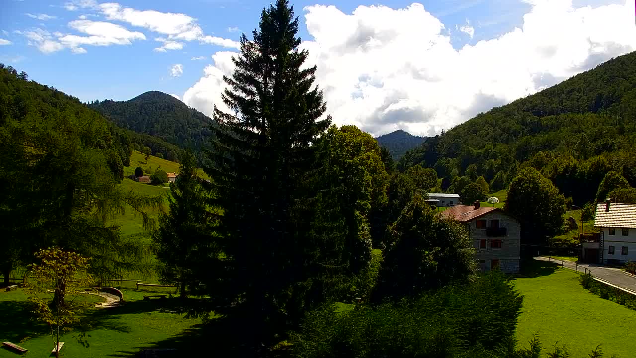 Webcam Lokve – The beauty of the Trnovo forest