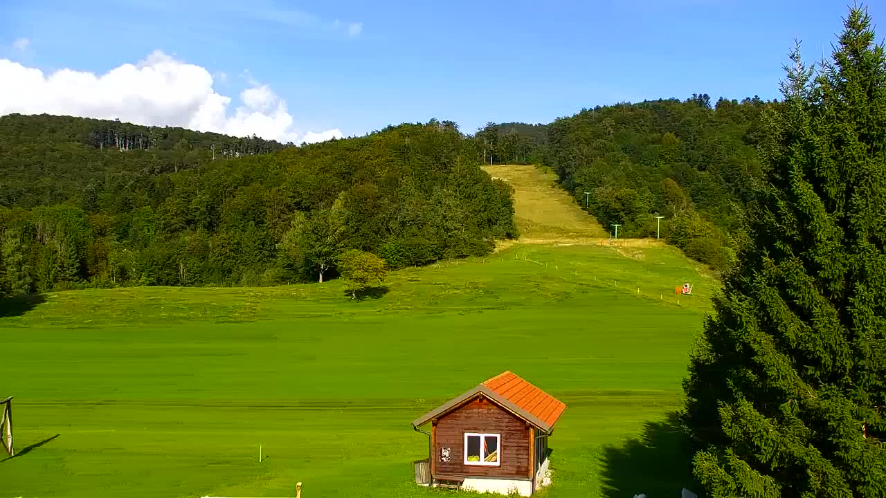 Webcam Lokve – The beauty of the Trnovo forest