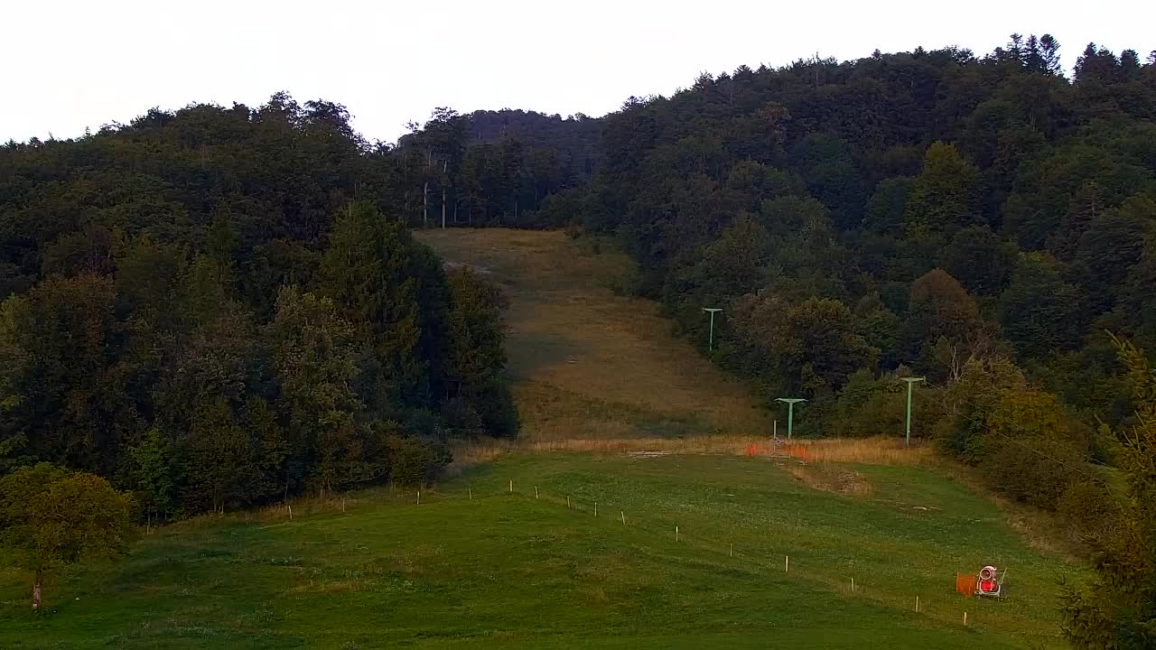 Webcam Loqua / Lokve – La bellezza della selva di Tarnova