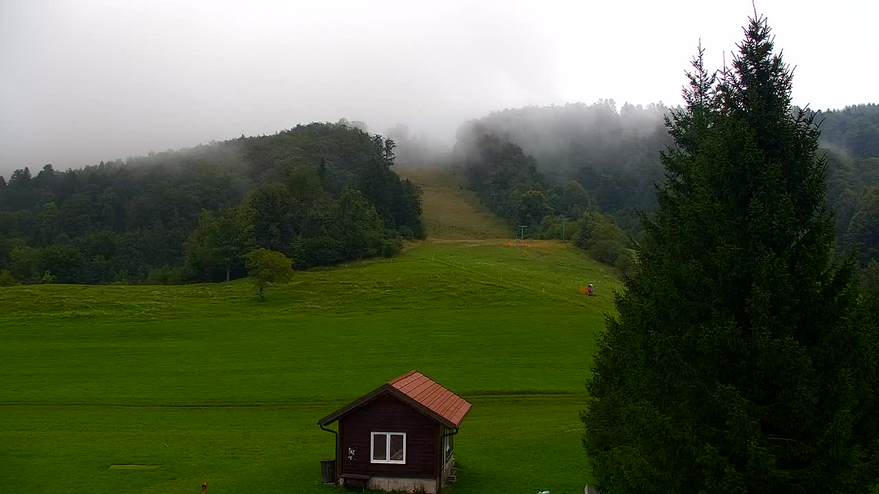 Webcam Loqua / Lokve – La bellezza della selva di Tarnova