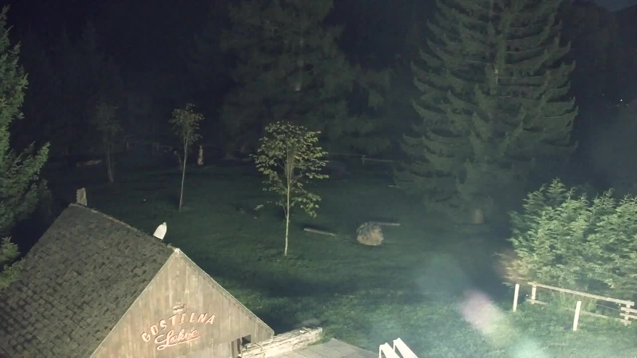 Webcam Lokve – The beauty of the Trnovo forest