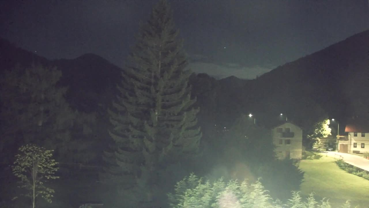 Webcam Lokve – La beauté de la forêt de Trnovo
