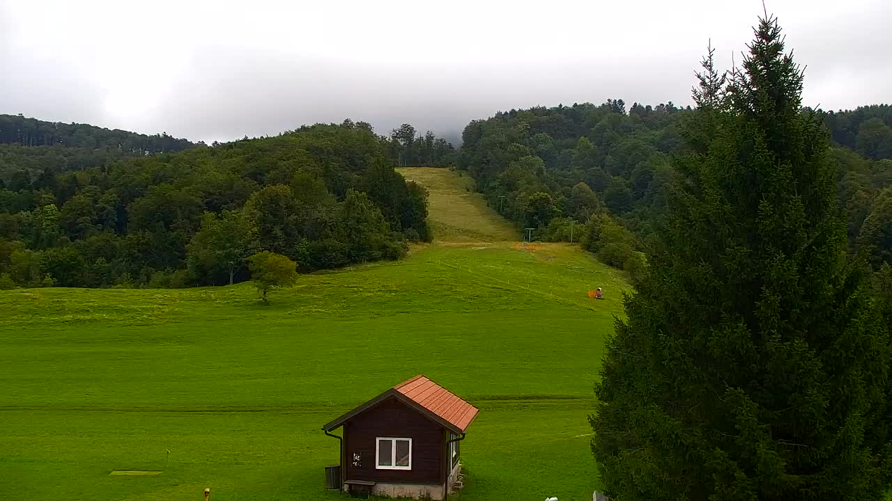 Webcam Lokve – The beauty of the Trnovo forest
