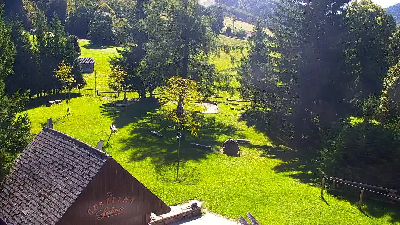 Webcam Lokve – Die Schönheit des Trnovo-Waldes