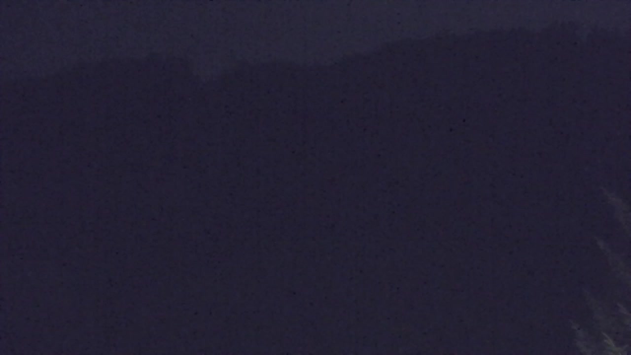 Webcam Lokve – The beauty of the Trnovo forest