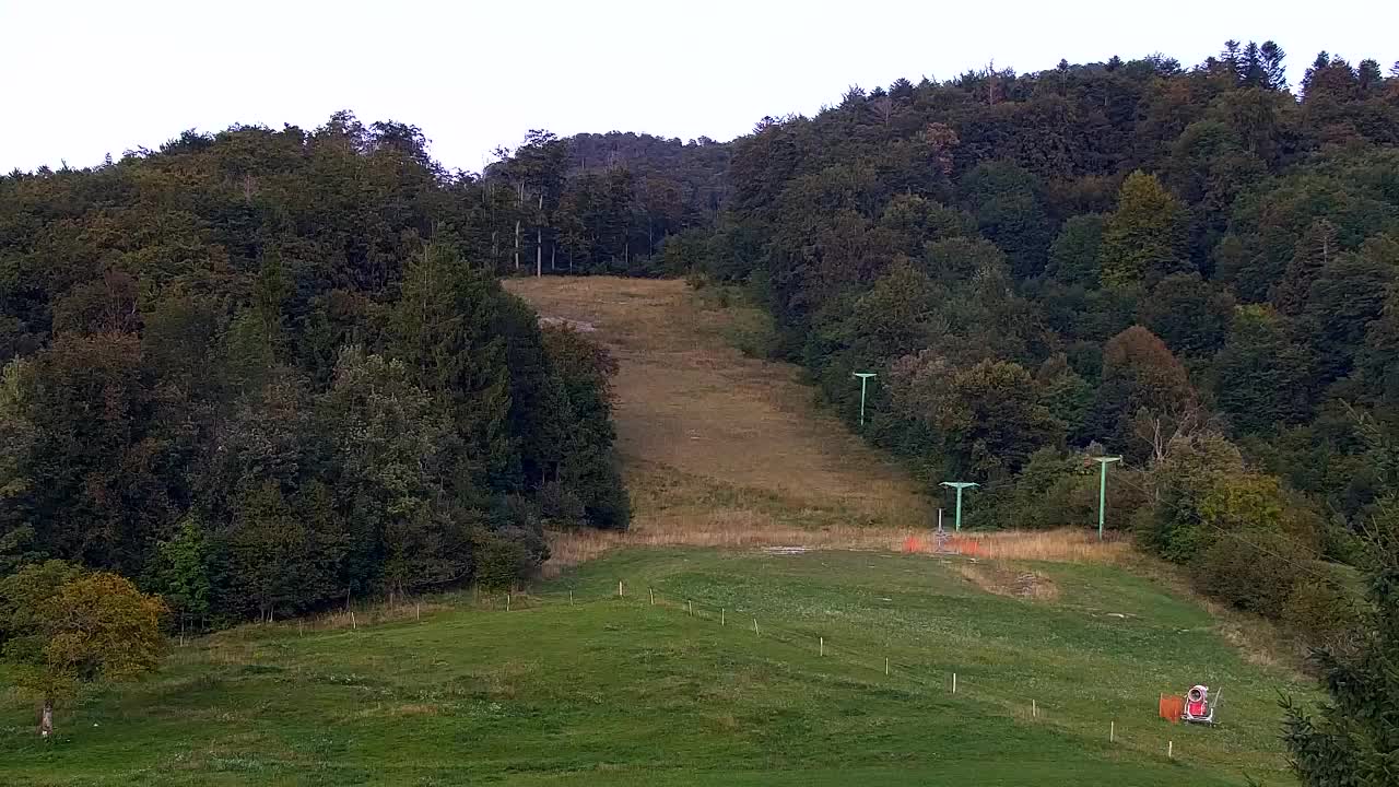 Webcam Loqua / Lokve – La bellezza della selva di Tarnova