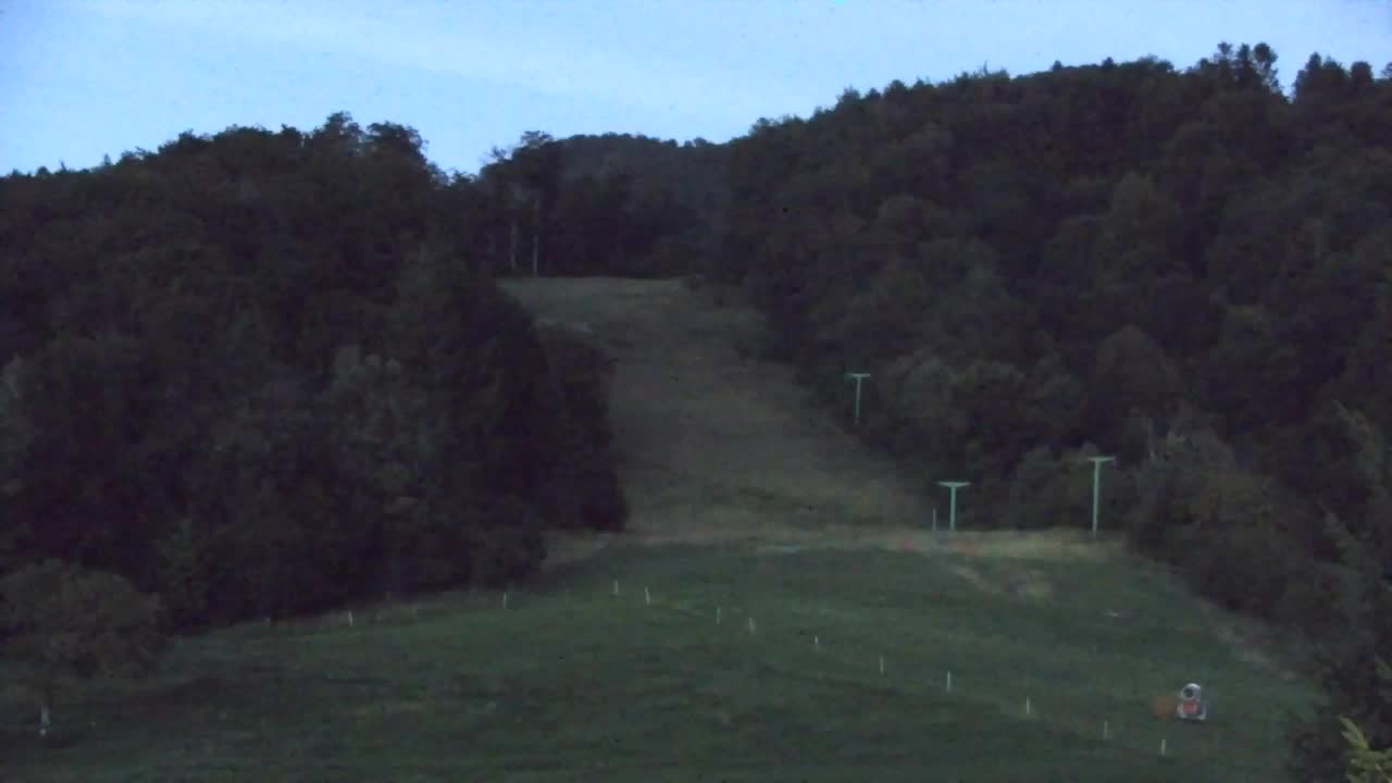 Webcam Lokve – La beauté de la forêt de Trnovo