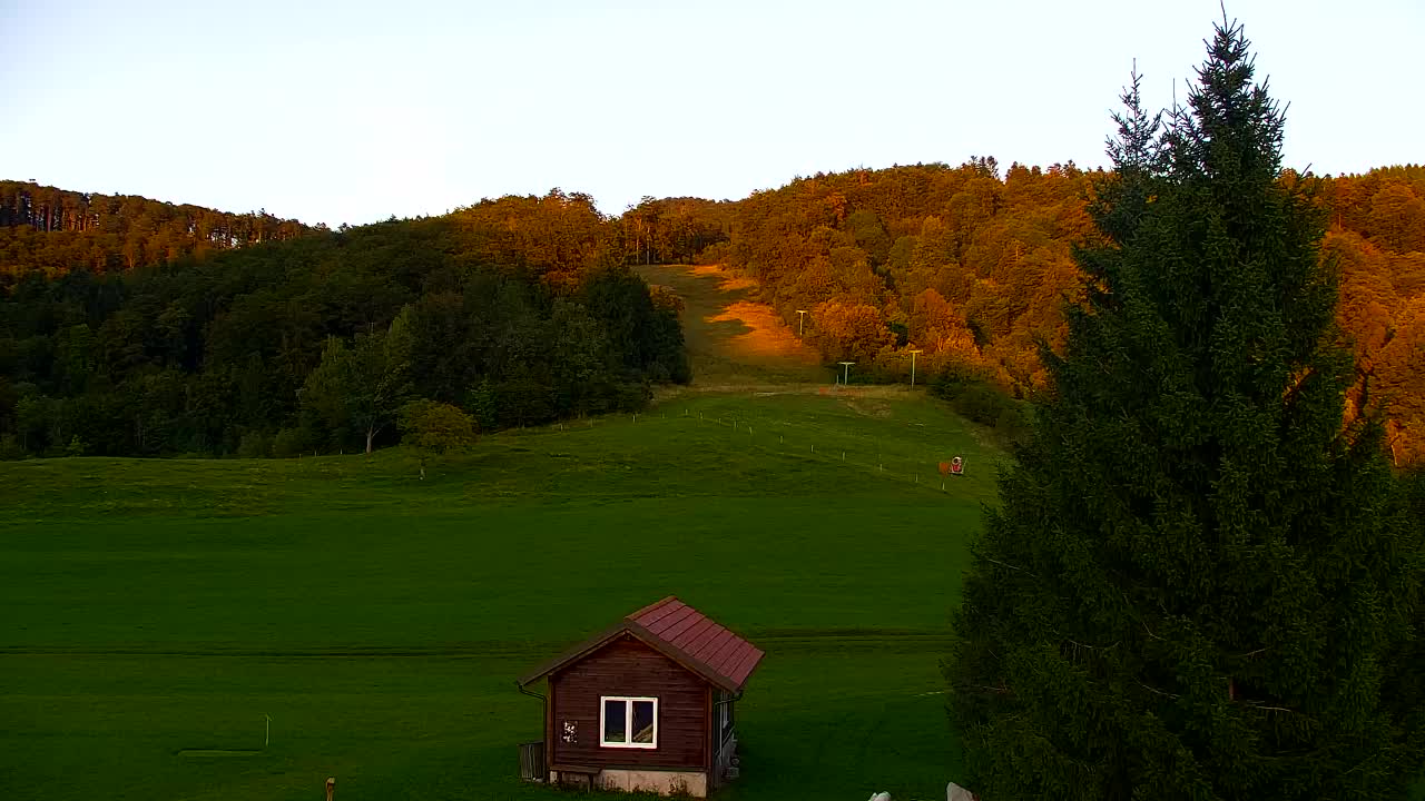 Webcam Loqua / Lokve – La bellezza della selva di Tarnova
