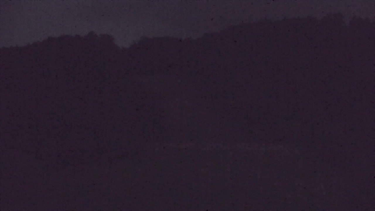 Webcam Lokve – La beauté de la forêt de Trnovo