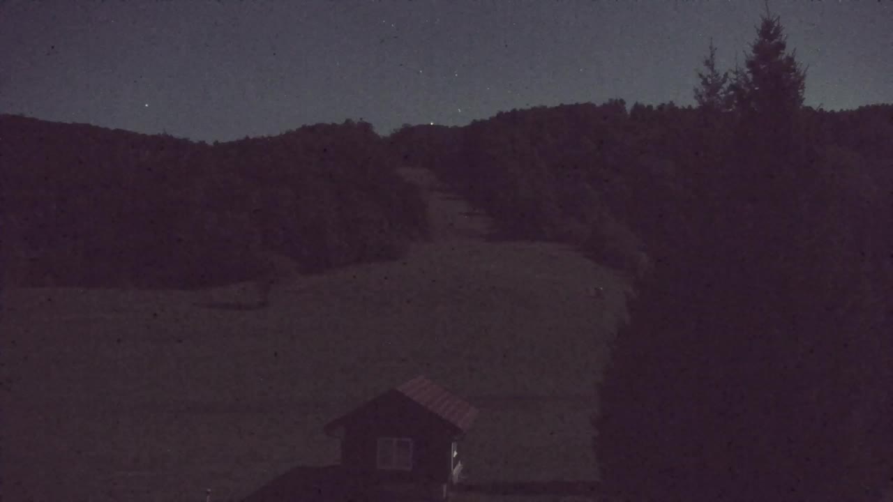 Webcam Lokve – The beauty of the Trnovo forest