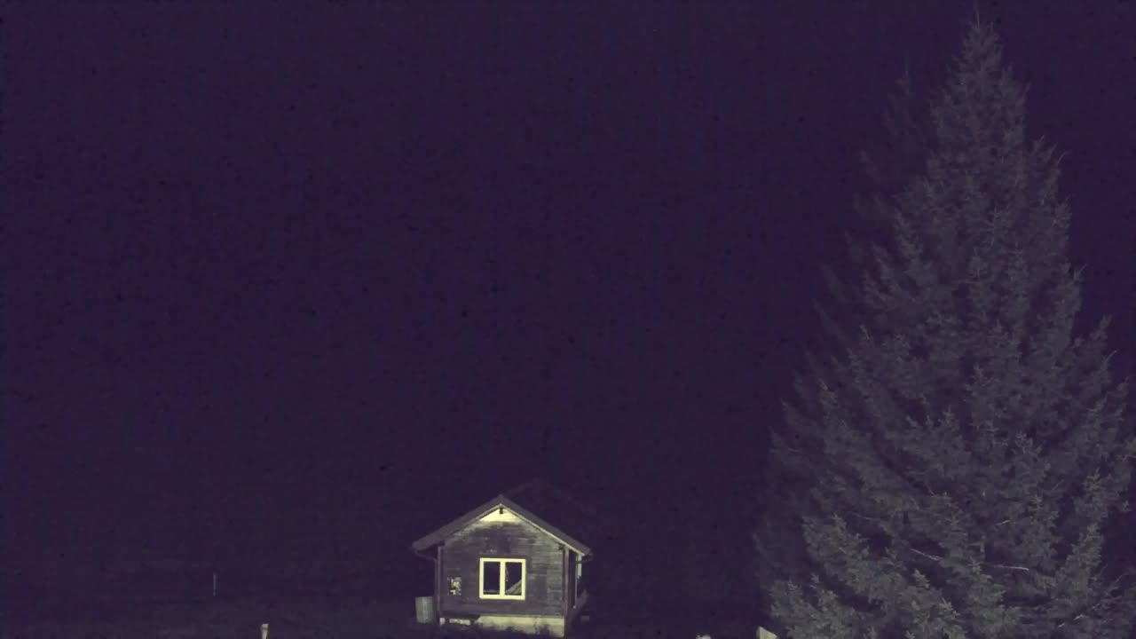 Webcam Lokve – La beauté de la forêt de Trnovo