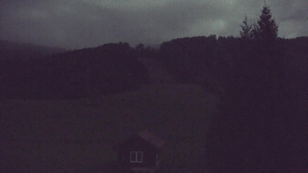 Webcam Lokve – Die Schönheit des Trnovo-Waldes