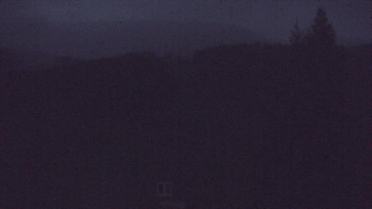 Webcam Loqua / Lokve – La bellezza della selva di Tarnova