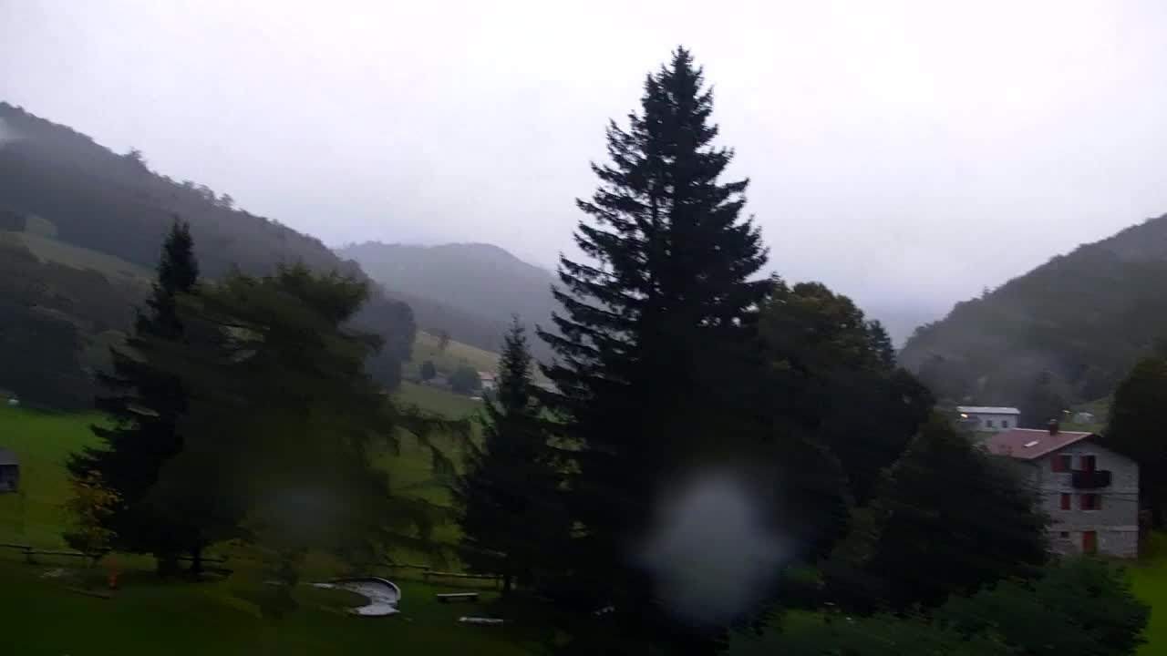 Webcam Loqua / Lokve – La bellezza della selva di Tarnova