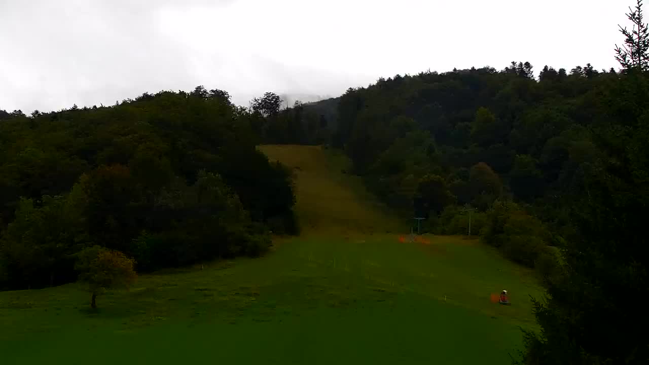 Webcam Loqua / Lokve – La bellezza della selva di Tarnova