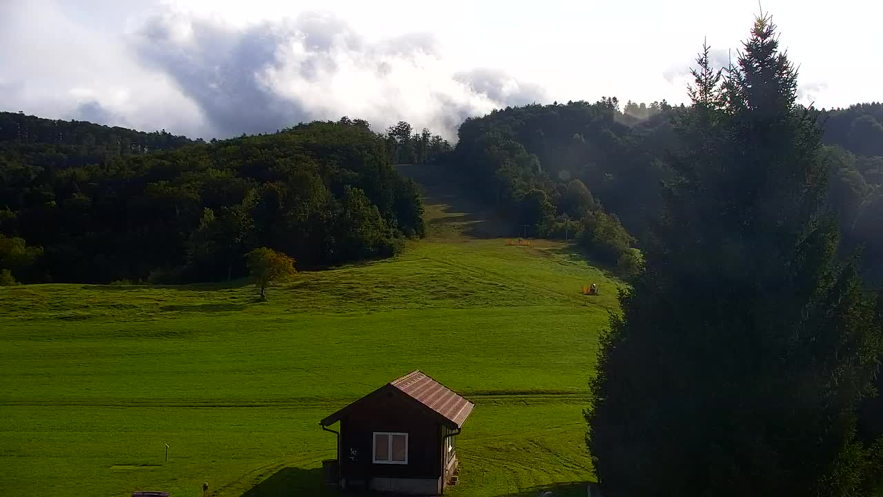 Webcam Lokve – The beauty of the Trnovo forest