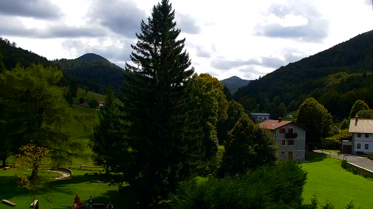 Webcam Lokve – La beauté de la forêt de Trnovo
