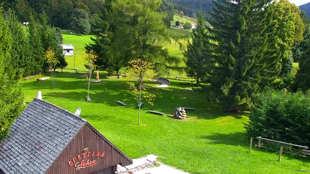 Webcam Loqua / Lokve – La bellezza della selva di Tarnova