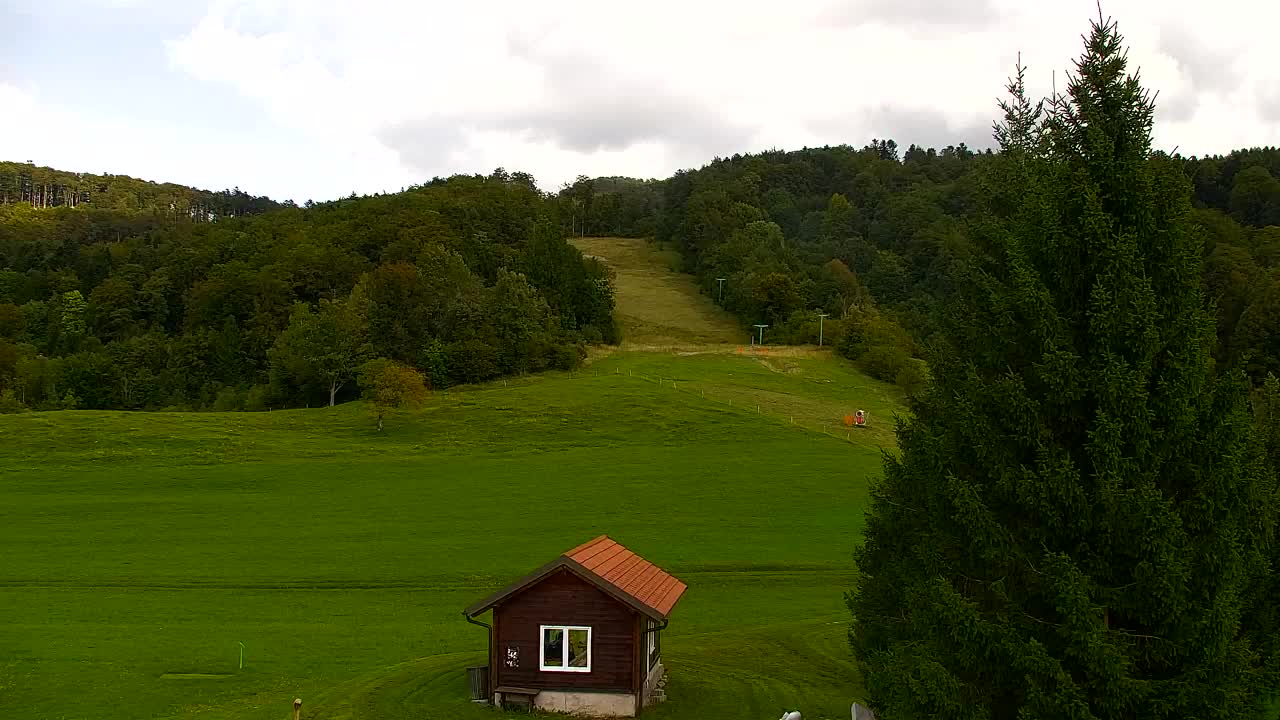 Webcam Lokve – La beauté de la forêt de Trnovo