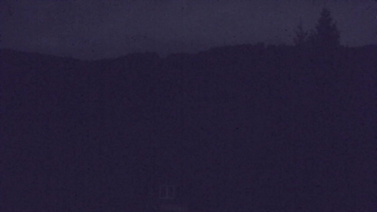 Camera en vivo Lokve – La belleza del bosque de Trnovo