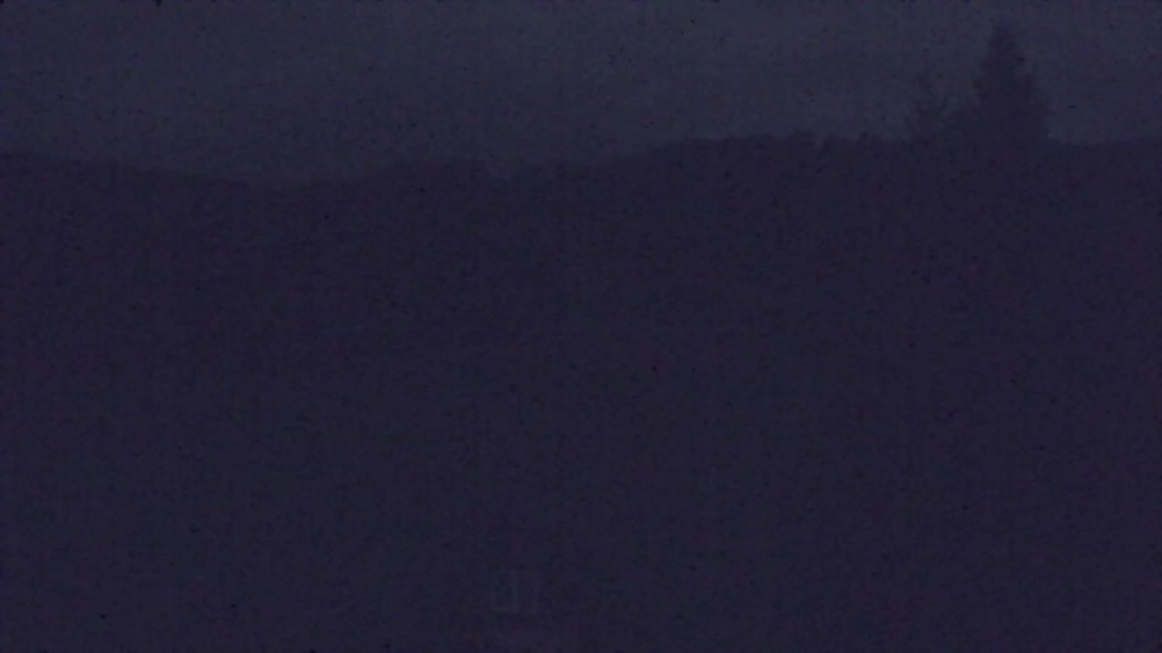 Webcam Lokve – La beauté de la forêt de Trnovo