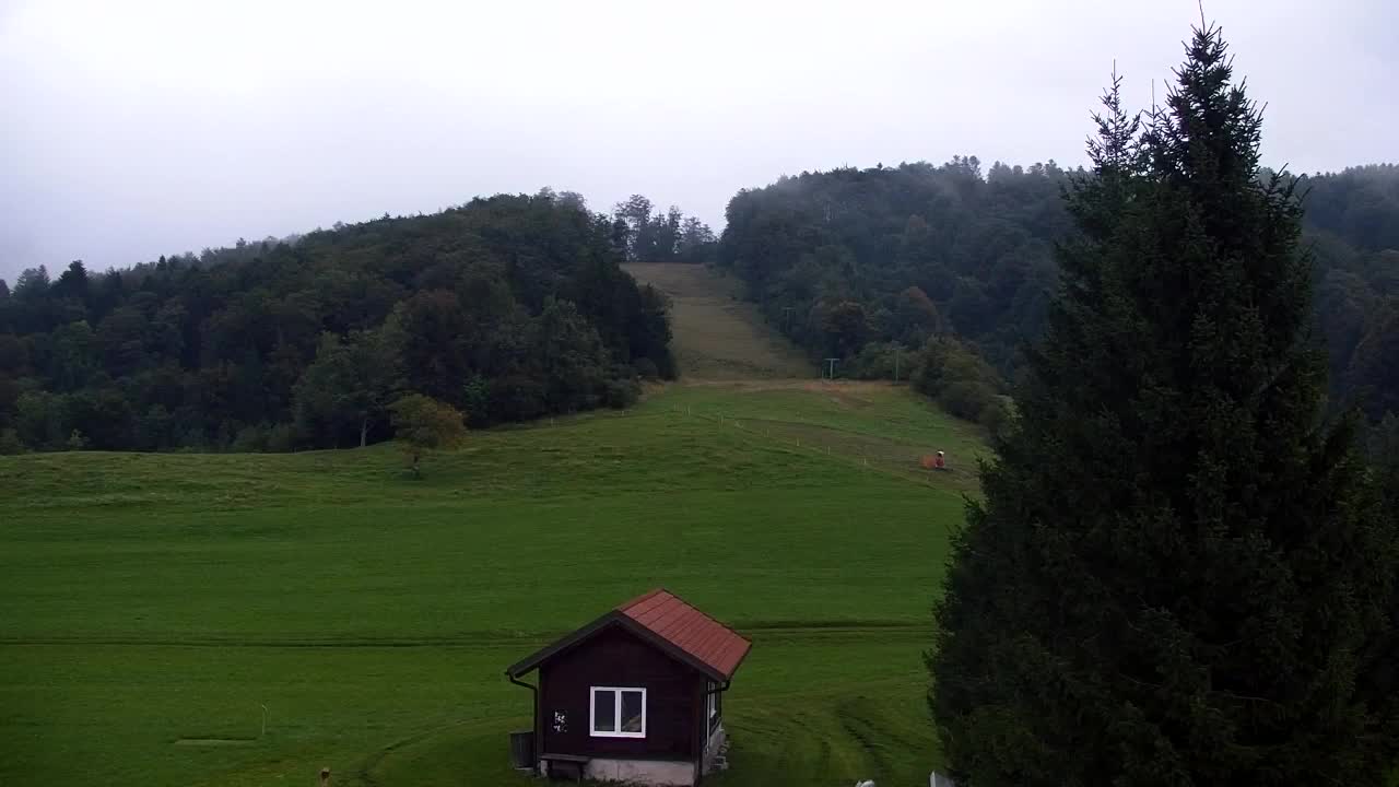 Webcam Loqua / Lokve – La bellezza della selva di Tarnova