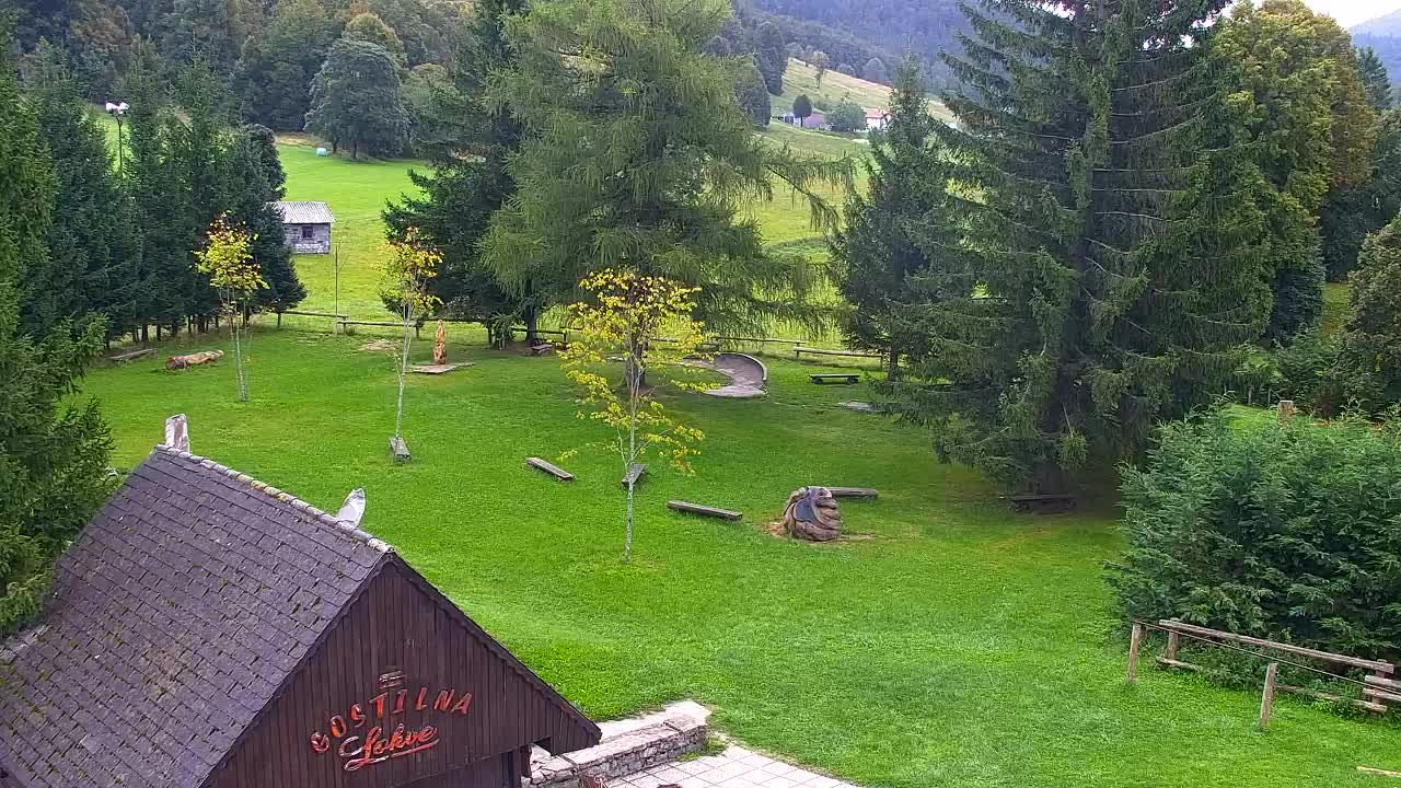 Webcam Lokve – The beauty of the Trnovo forest
