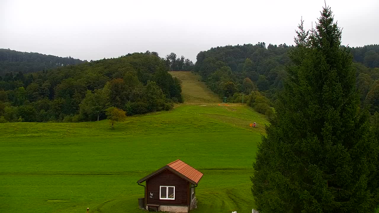 Webcam Lokve – The beauty of the Trnovo forest