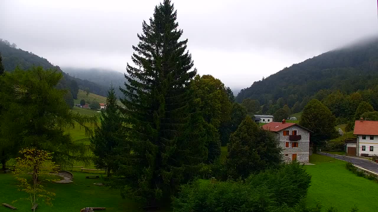 Camera en vivo Lokve – La belleza del bosque de Trnovo