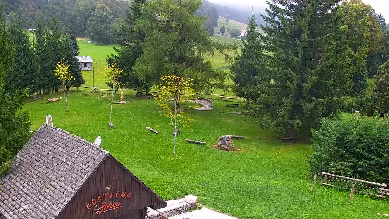 Webcam Lokve – The beauty of the Trnovo forest