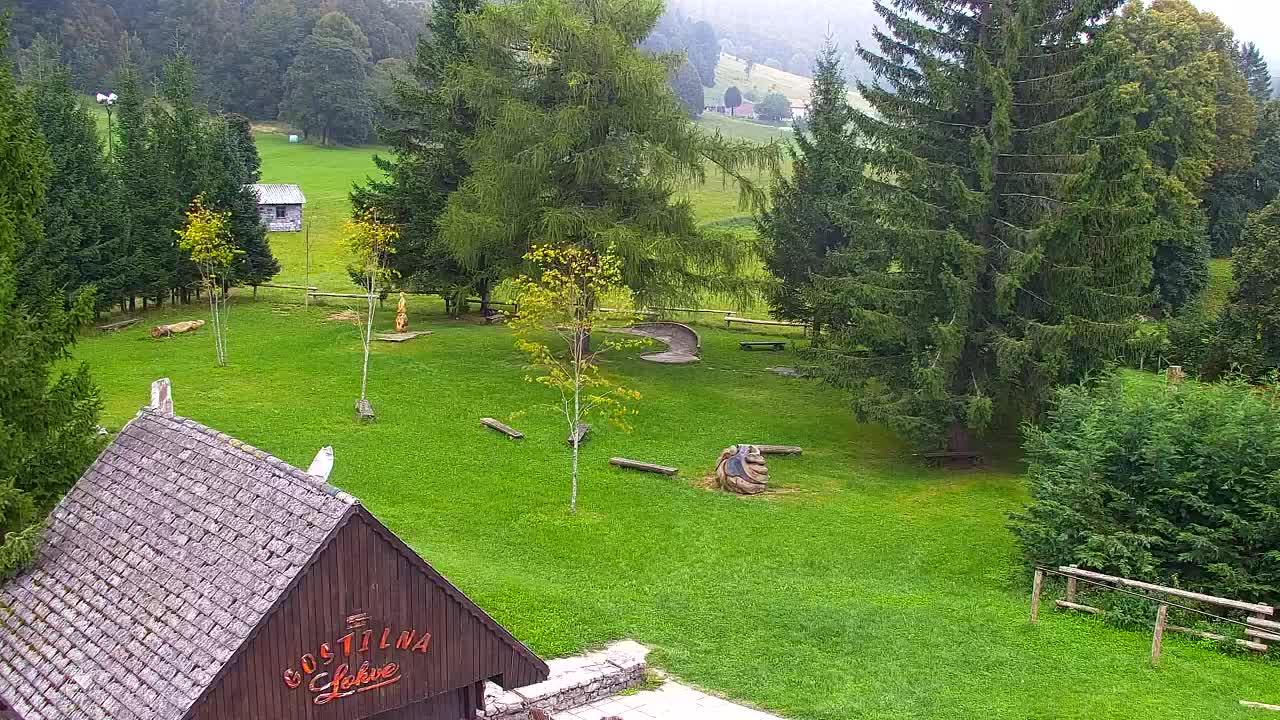 Camera en vivo Lokve – La belleza del bosque de Trnovo