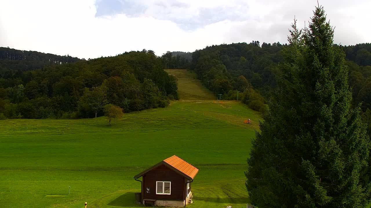 Webcam Lokve – La beauté de la forêt de Trnovo