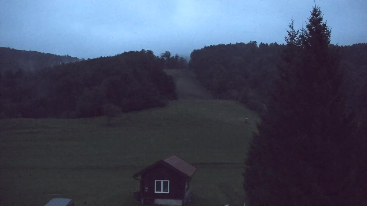Webcam Lokve – The beauty of the Trnovo forest