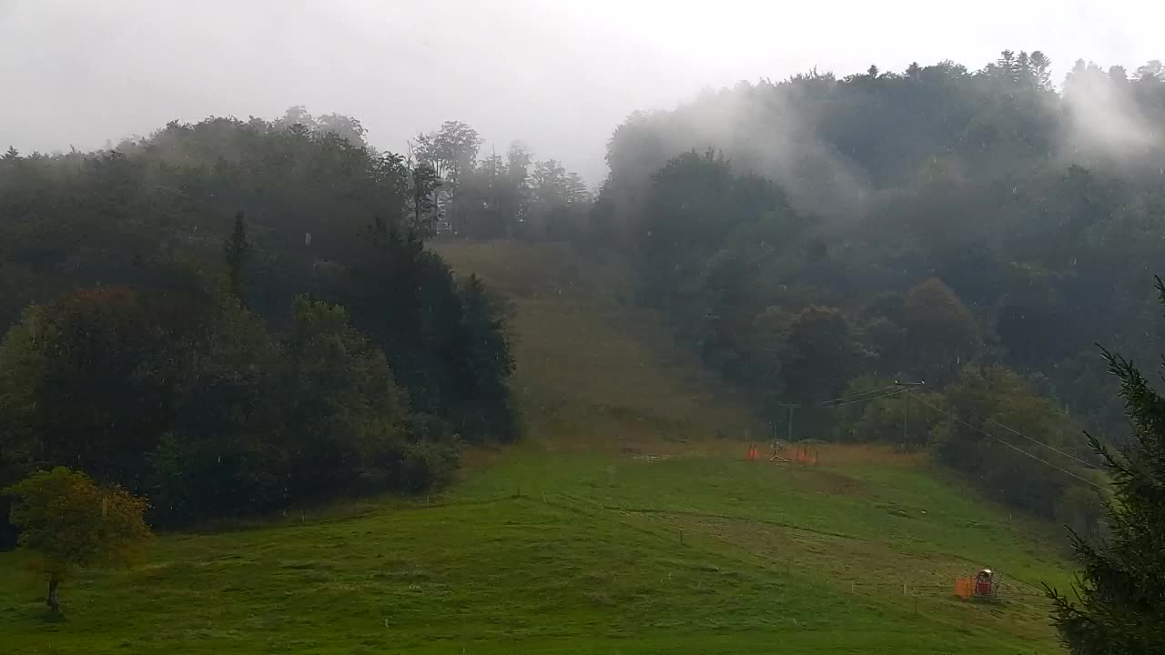Webcam Lokve – The beauty of the Trnovo forest