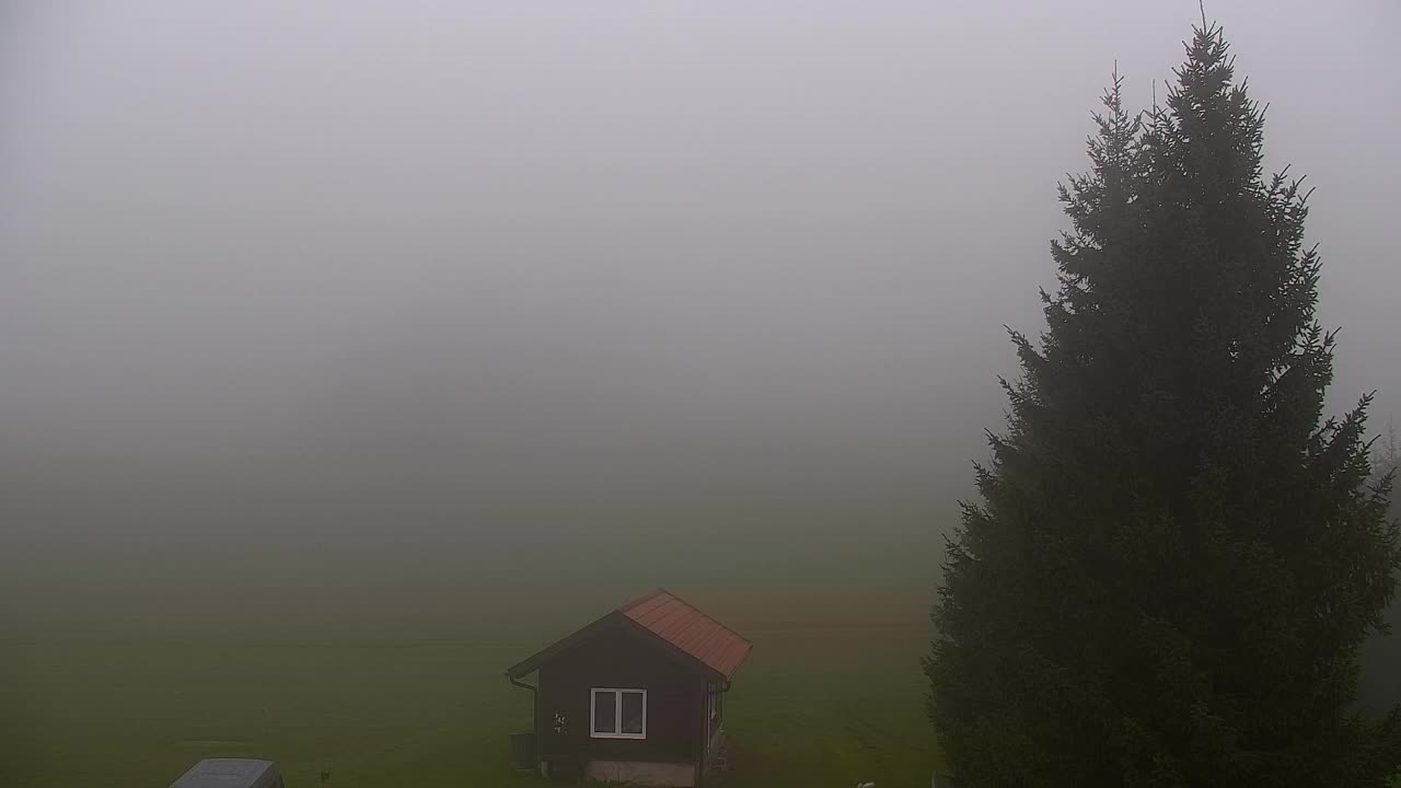 Webcam Loqua / Lokve – La bellezza della selva di Tarnova