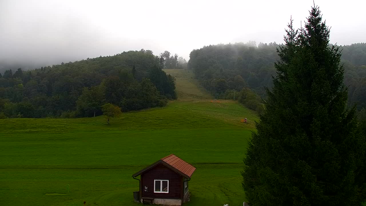 Webcam Loqua / Lokve – La bellezza della selva di Tarnova