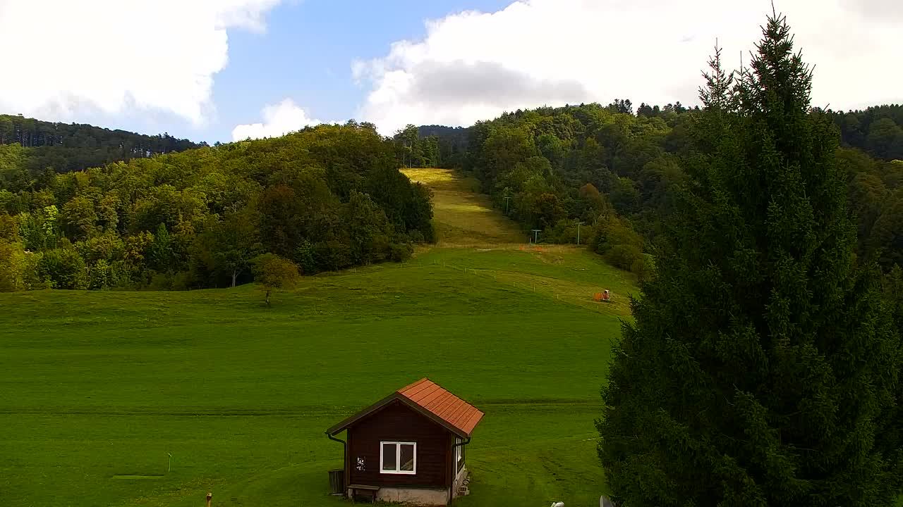 Webcam Loqua / Lokve – La bellezza della selva di Tarnova