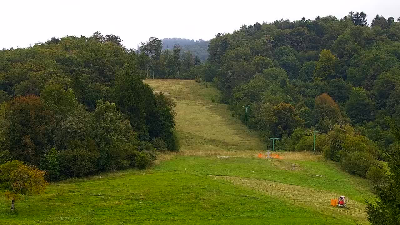 Webcam Lokve – La beauté de la forêt de Trnovo