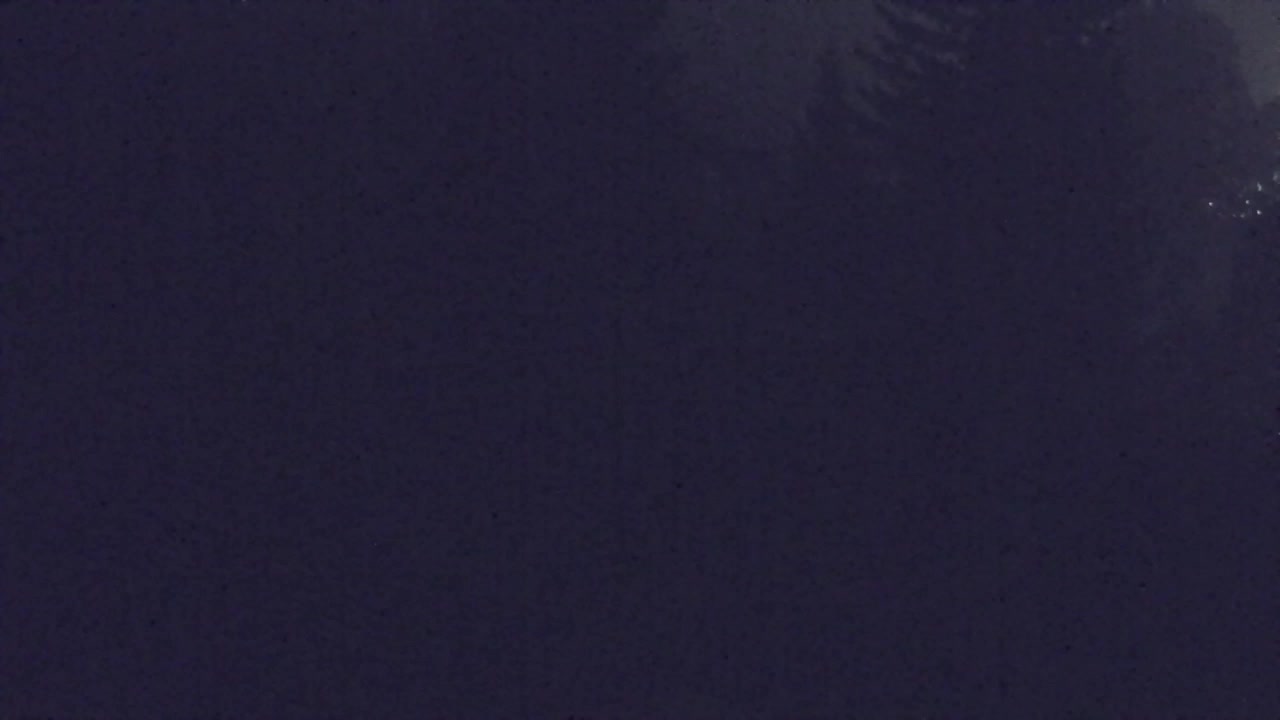 Webcam Lokve – The beauty of the Trnovo forest