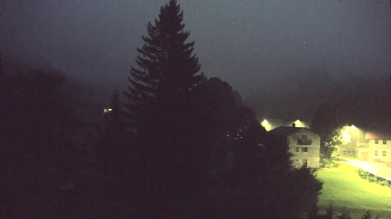 Webcam Loqua / Lokve – La bellezza della selva di Tarnova