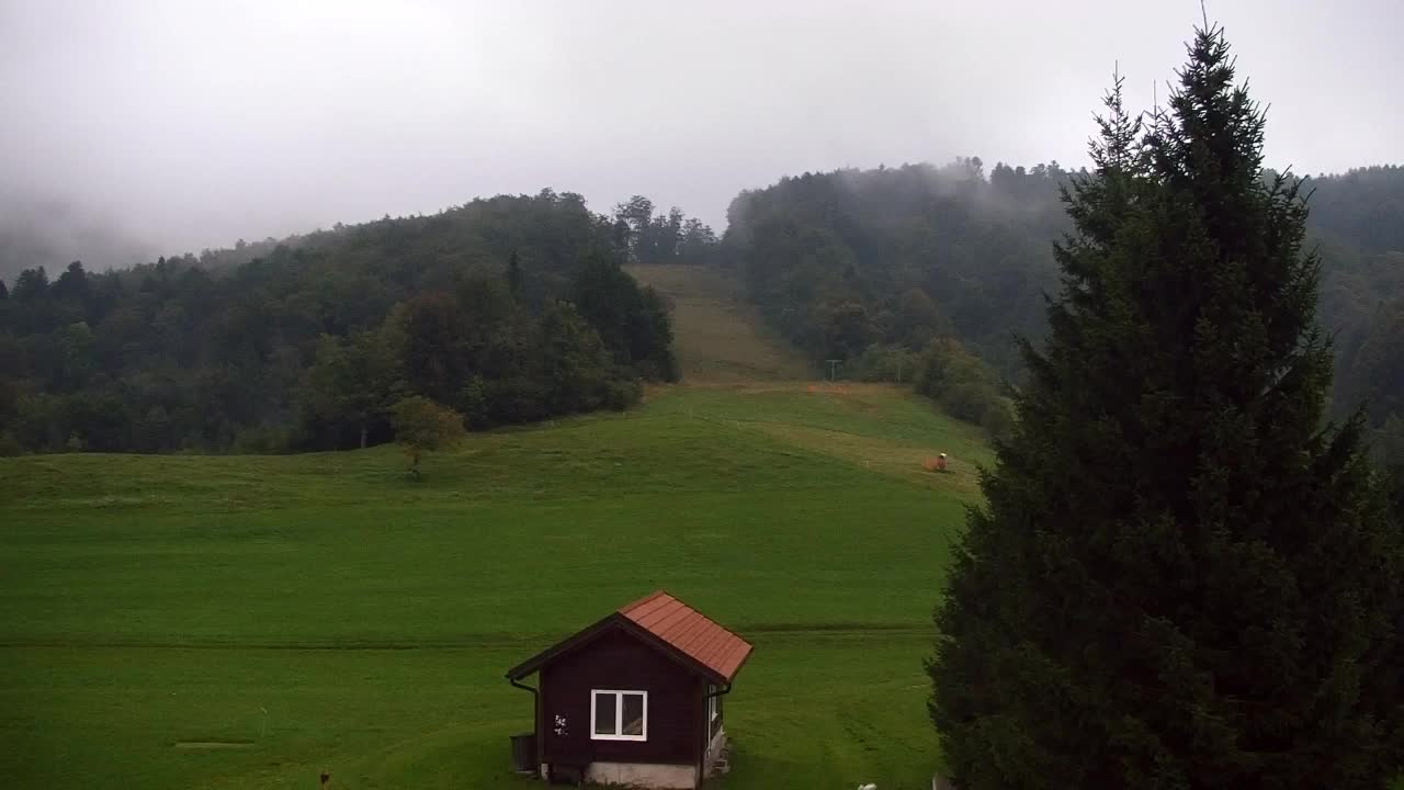 Webcam Lokve – The beauty of the Trnovo forest