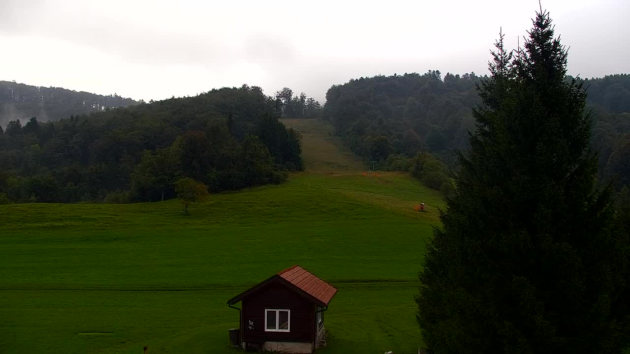 Webcam Lokve – The beauty of the Trnovo forest