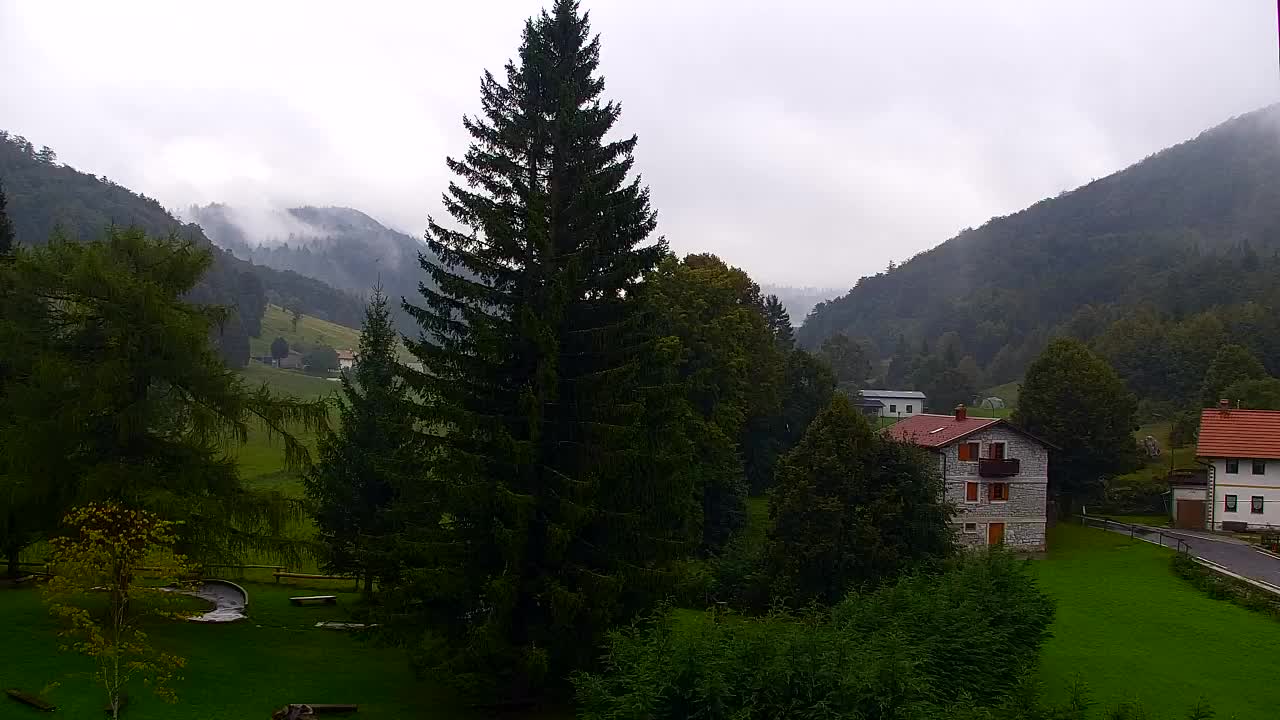 Webcam Lokve – Die Schönheit des Trnovo-Waldes